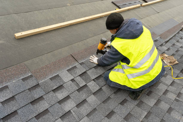 Roof Waterproofing Services in Hollywood, FL