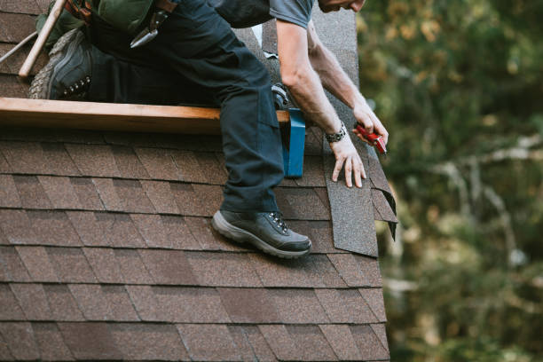 Roof Gutter Cleaning in Hollywood, FL
